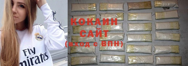 кокс Богородицк