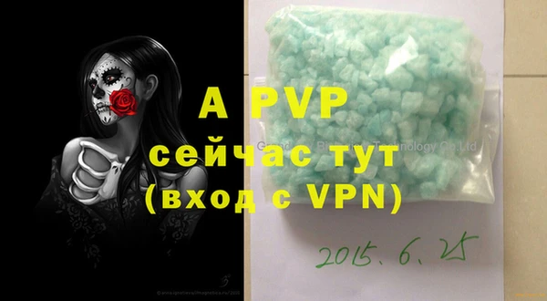 трава Осинники