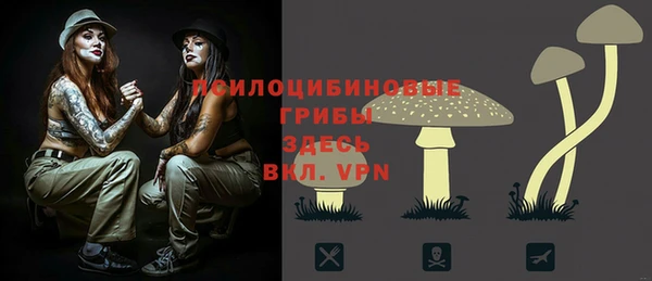 ECSTASY Белоозёрский